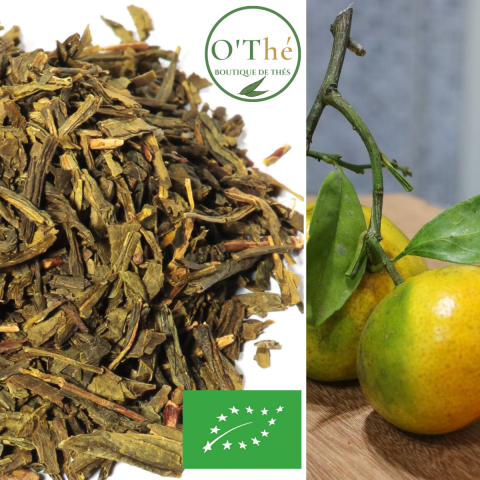 EARL GREY VERT BIO