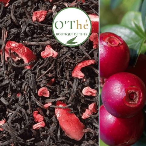 NOIR CRANBERRY